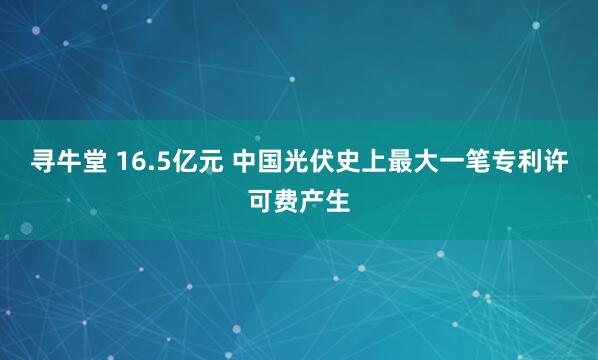 寻牛堂 16.5亿元 中国光伏史上最大一笔专利许可费产生